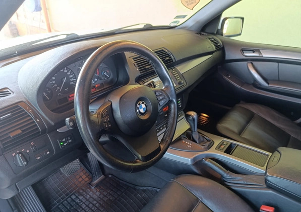 BMW X5 cena 36900 przebieg: 245145, rok produkcji 2005 z Brzeszcze małe 466